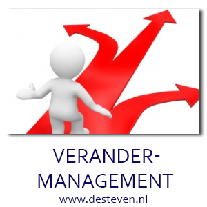 Individuele coaching gericht op verandermanagement